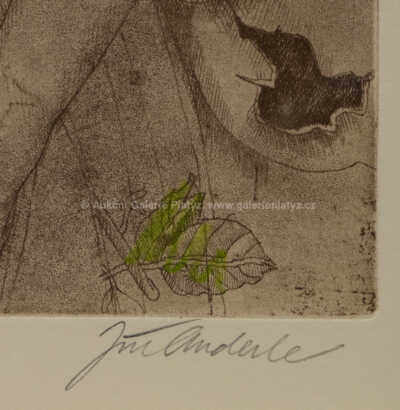  / Džbán / Jiří Anderle