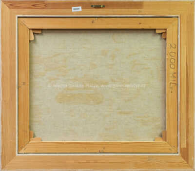  / Osvobození Prahy / František Ringo Čech