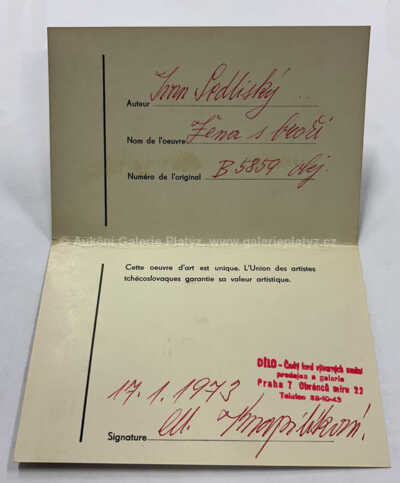  / Žena s broží / Ivan Sedliský