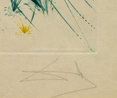  / Píseň písní: Milovaný se pase mezi liliemi / Salvador Dalí