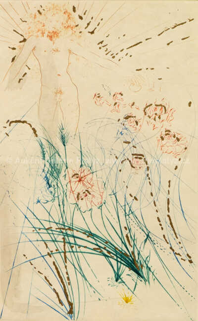  / Píseň písní: Milovaný se pase mezi liliemi / Salvador Dalí