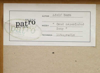  / Osud neposlušné ženy / Adolf Born