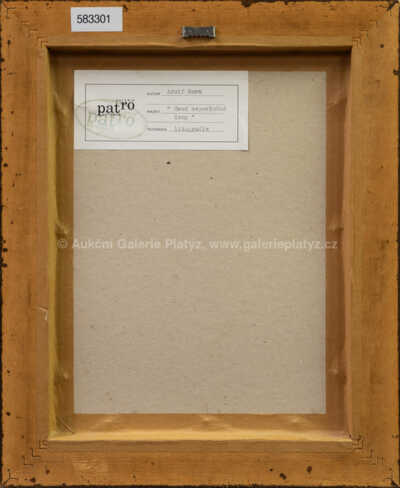  / Osud neposlušné ženy / Adolf Born