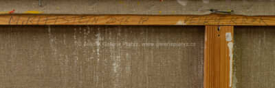  / Velký krok / Michael Rittstein