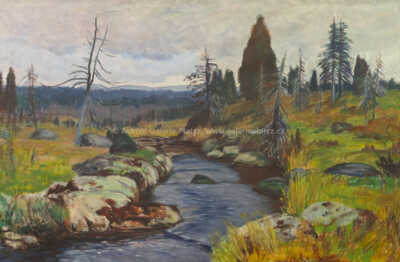  / Javoří potok / Antonín Hudeček