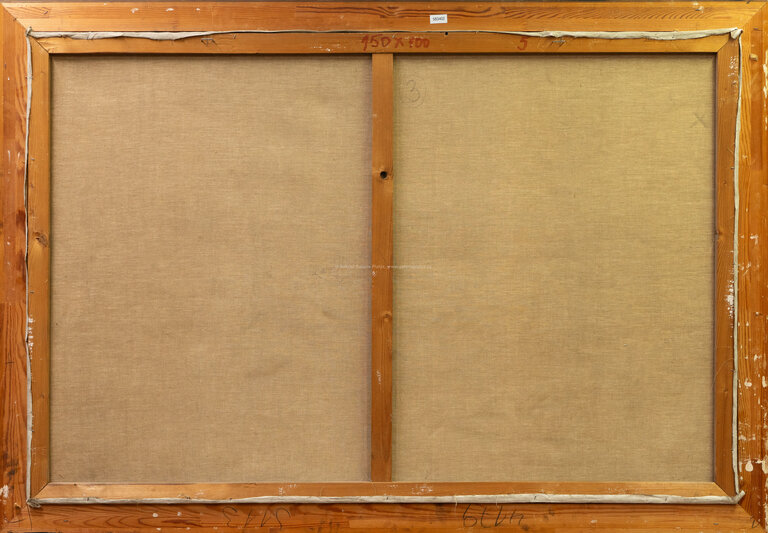  / Javoří potok / Antonín Hudeček