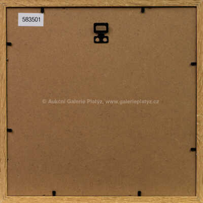  / Ptáci z knihy Anastazius Kočkorád Velký kouzelník / Jiří Trnka