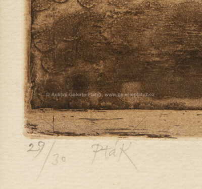  / Pták / Ota Janeček