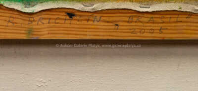  / Brasil / Roman Brichcín