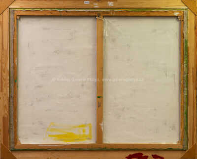  / Brasil / Roman Brichcín