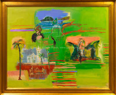 Roman Brichcín - Brasil