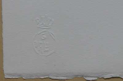  / Akt s labutí / Salvador Dalí