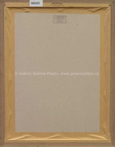  / Balon. Křídla. Vrtule. / Kamil Lhoták