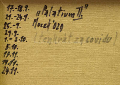  / Palatium II / Jiří Mocek