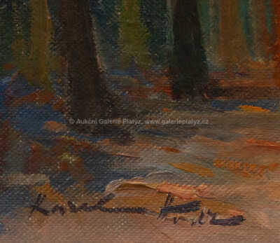  / Procházka lesoparkem / Karel Hodr