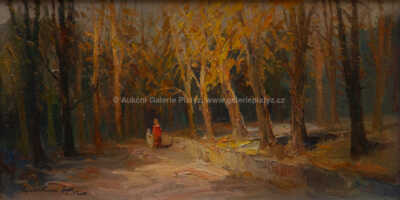 / Procházka lesoparkem / Karel Hodr