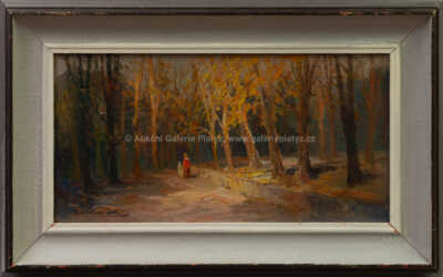 Karel Hodr - Procházka lesoparkem