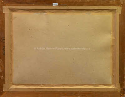  / Oráči / Vlastimil  Košvanec