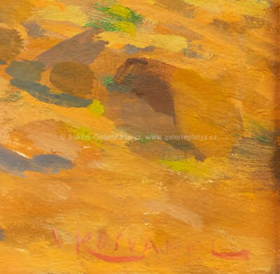  / Oráči / Vlastimil  Košvanec