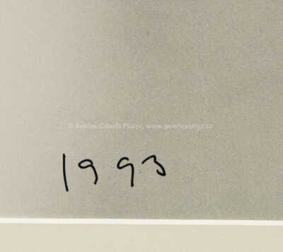  / Čekání na pohlazení / Tono Stano