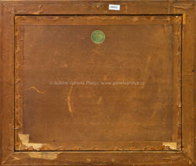  / Slepé rameno Jizery u Nudvojovic / Jindřich Fürst