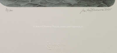  / Půjčovna loděk / Iva Hüttnerová