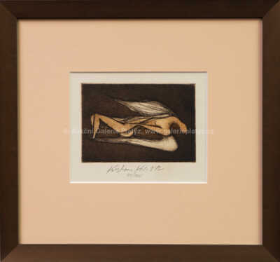 Kristian Kodet - Ležící anděl