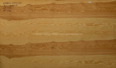  / Globální oteplování - Sex ve městě, 2009 / Daniel Krejbich