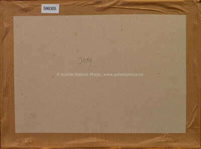  / Záchvat lásky k bližnímu / Vladimír Renčín