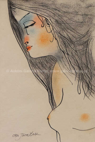  / Zasněná / Ota Janeček