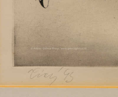  / Vysoká škola I / František  Tichý