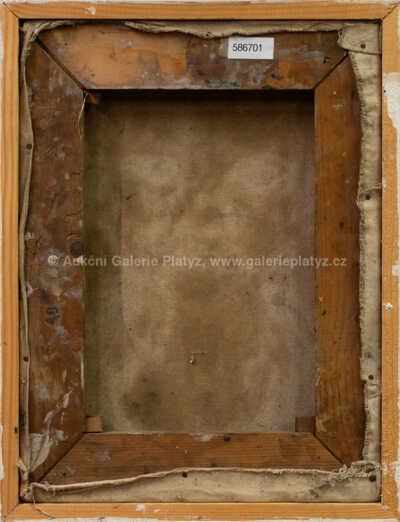  / Chlapec / Míla Doleželová