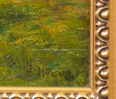  / U rybníka /  Josef Holub