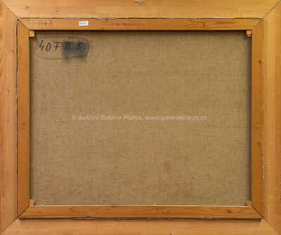  / Rybník Stroužka / František Líbal