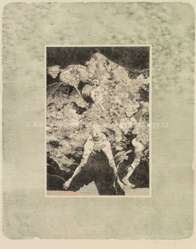  / Svatební cesta / Albín Brunovský