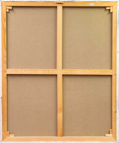  / Woman / Josef Rataj