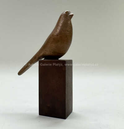 Ota Janeček - Ptáček