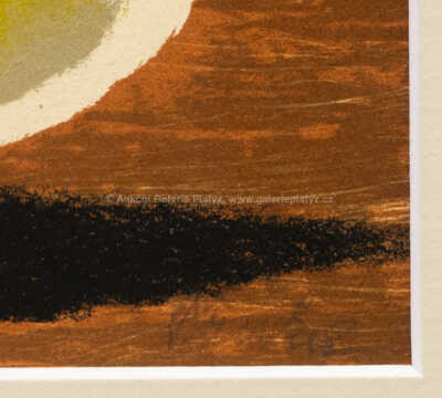  / Mísa s hruškami / Jiří Trnka