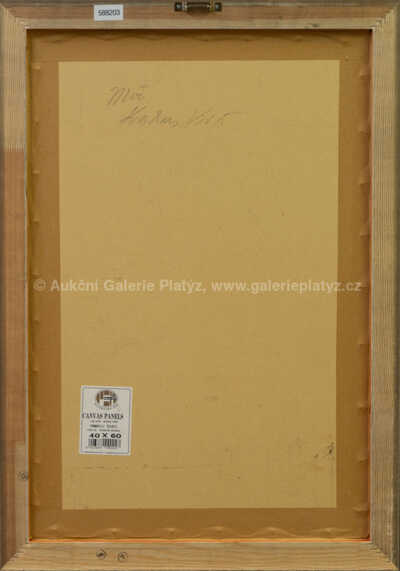  / Muž / Kristian Kodet