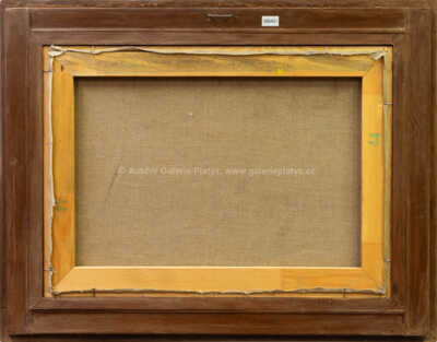  / Unavená spravedlnost / Adolf Lange