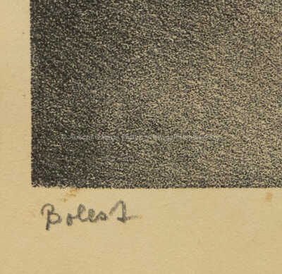  / Bolest / Jan  Zrzavý