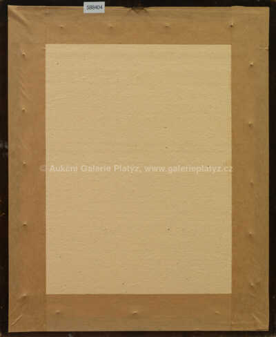  / Bolest / Jan  Zrzavý