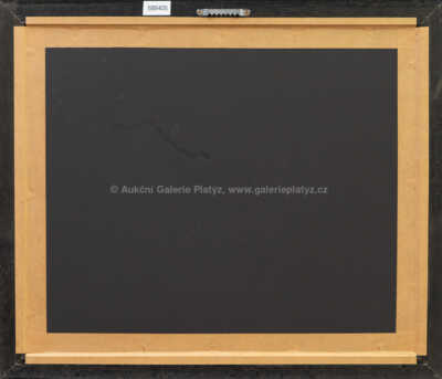  / The Girl with a Hat / Jan Saudek