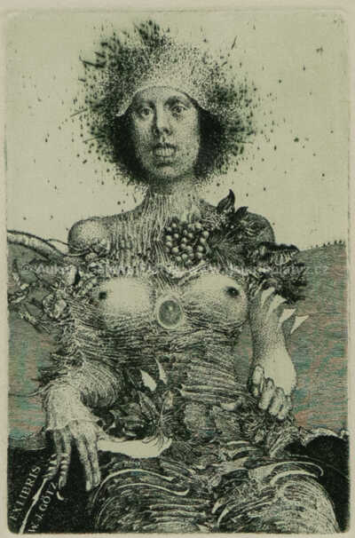  / Frustrace tolerance / Albín Brunovský