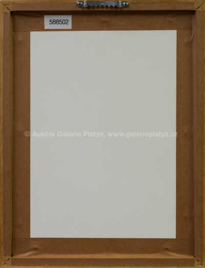  / Frustrace tolerance / Albín Brunovský