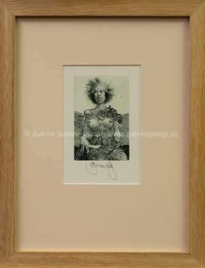 Albín Brunovský - Frustrace tolerance