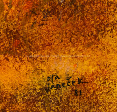  / Ptáček na kameni / Ota Janeček