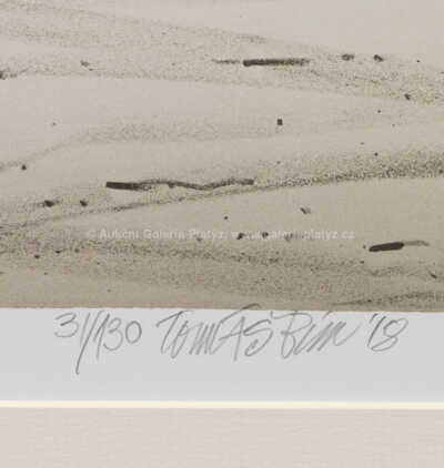  / Automobil / Tomáš Bím