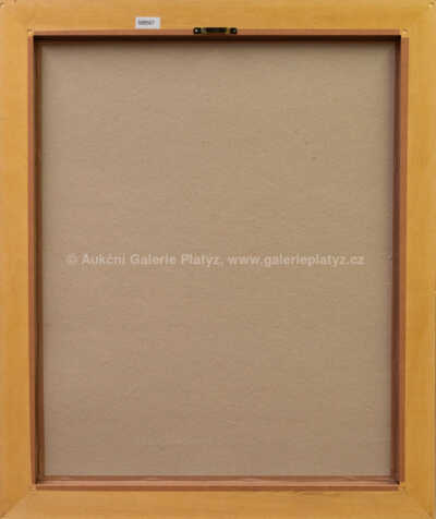  / Automobil / Tomáš Bím