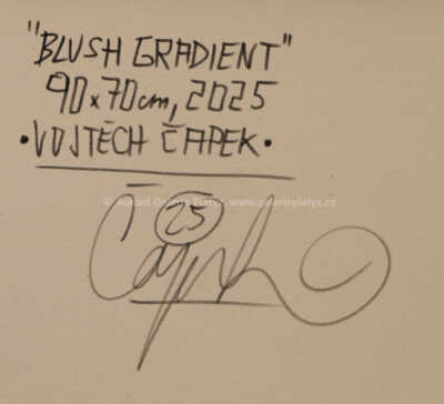  / Blush gradient / Vojtěch Čapek